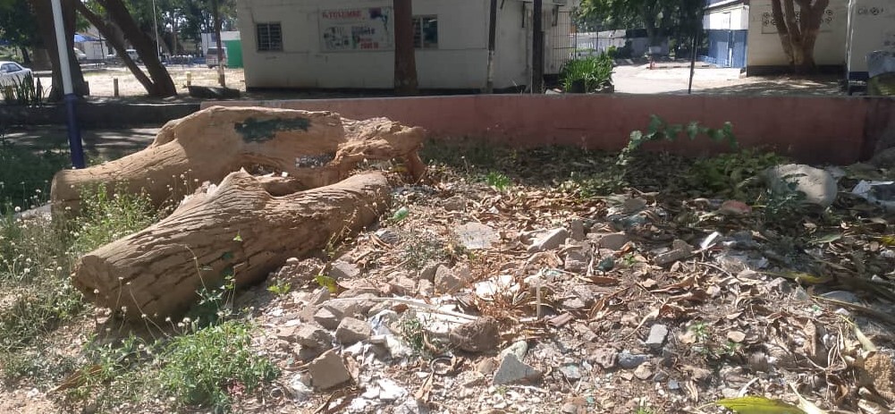 Barren urban plot